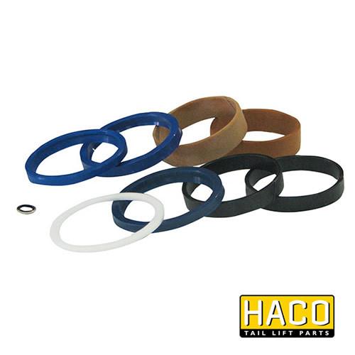 Sealkit HACO for Bar Cargolift 101132207, shown with multiple gasket rings, designed for single-acting cylinder 1019562H.