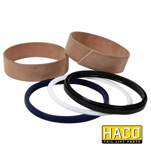 Sealkit HACO for Bar Cargolift 101132484, featuring several round components, designed for single-acting function in commercial trailer systems.