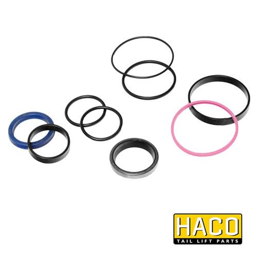 Sealkit HACO for Bar Cargolift 101121348, featuring various round gasket sizes, designed for single-acting dust cover applications in commercial trailers.