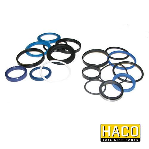 Sealkit HACO for Bar Cargolift, featuring round gaskets, suits Cylinder 1019557H, double-acting function, size Ø45/80-242mm, from Nationwide Trailer Parts Ltd.