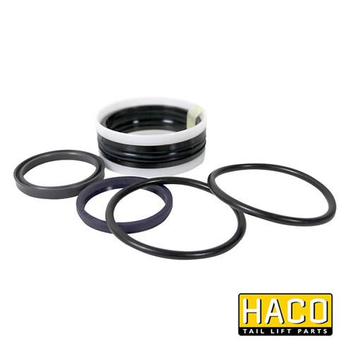 Sealkit HACO for Bar Cargolift 101139720, featuring black and white gaskets, designed for double acting function; suitable for commercial trailers.