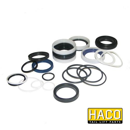 Sealkit HACO for Bar Cargolift 101124793, featuring various round gaskets and O-rings, suitable for cylinder 1019564H, double-acting function, size Ø36/50-200 mm.