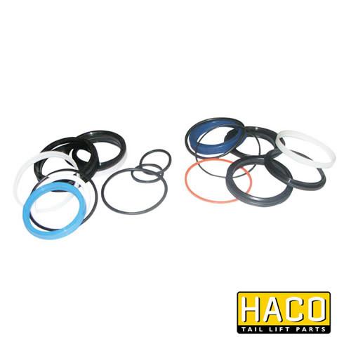 Sealkit HACO for Bar Cargolift, featuring round gaskets suitable for double acting cylinders. Designed for commercial trailers and vehicles.