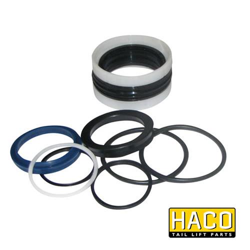 Sealkit HACO for Bar Cargolift 101116620, featuring various round gaskets and seals, designed for double-acting function, suitable for Cylinder 1019565H.