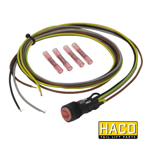 12/24v Cabin switch HACO close-up, designed for Bar Cargo and Dhollandia, highlighting essential wiring and components for commercial trailers.